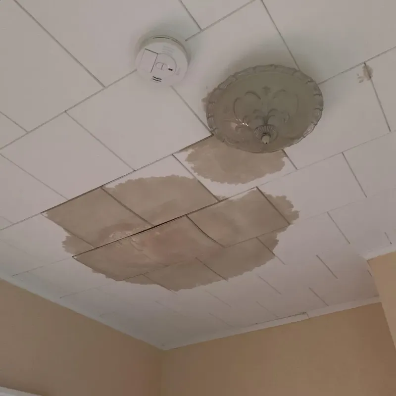 Ceiling Water Damage Repair in Prague, OK