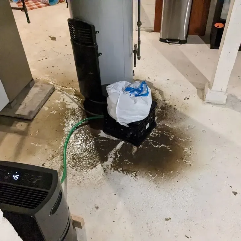 Sewage Backup Cleanup Service in Prague, OK